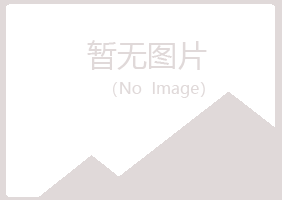 晋宁县字迹会计有限公司